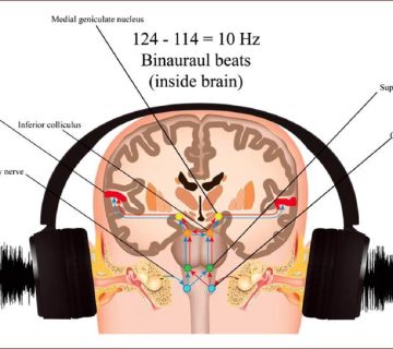 ضرباهنگ دوگوشی