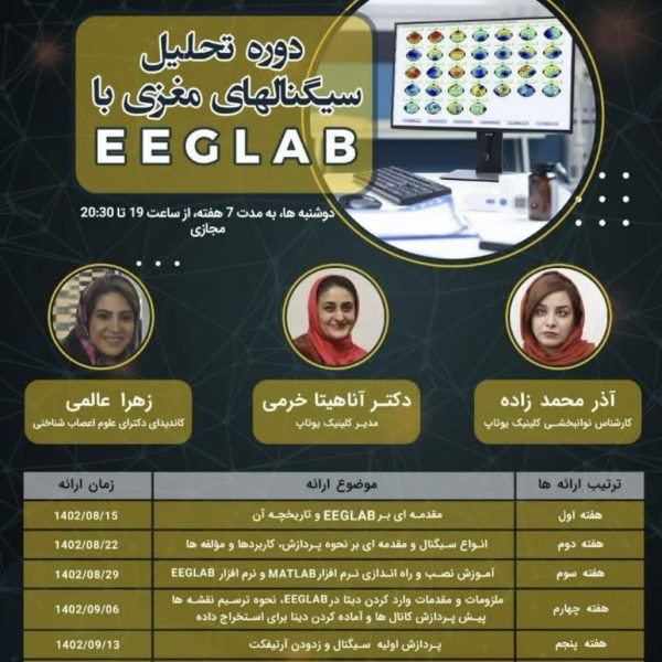 دوره تحلیل سیگنال های مغزی EEG