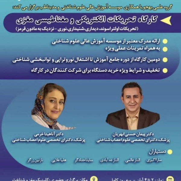 تحریکات الکتریکی و مغناطیسی مغزی